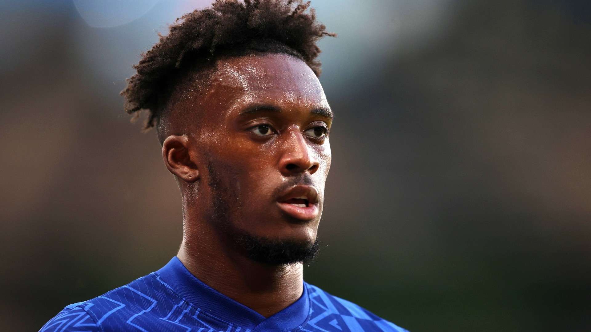 更是对他执 更是对他执